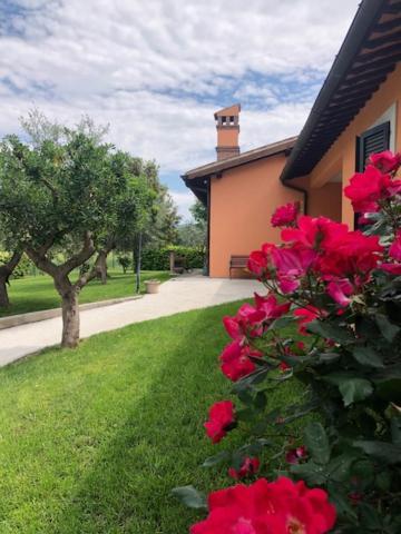 Il Giardino Delle Rose Apartman Spello Kültér fotó