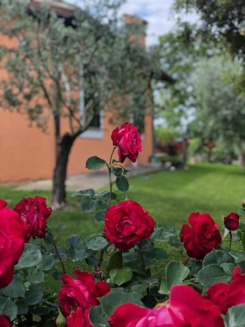 Il Giardino Delle Rose Apartman Spello Kültér fotó